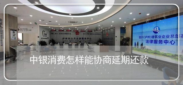 中银消费怎样能协商延期还款/2023092377160