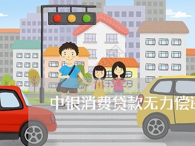 中银消费贷款无力偿还/2023040326068