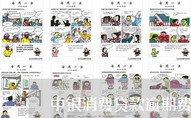 中银消费贷款逾期费用/2023072669494