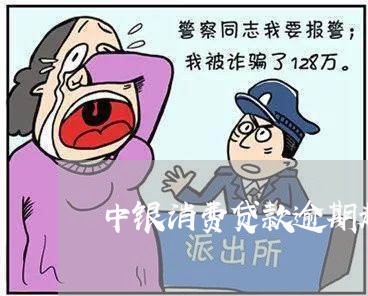 中银消费贷款逾期起诉/2023111403038