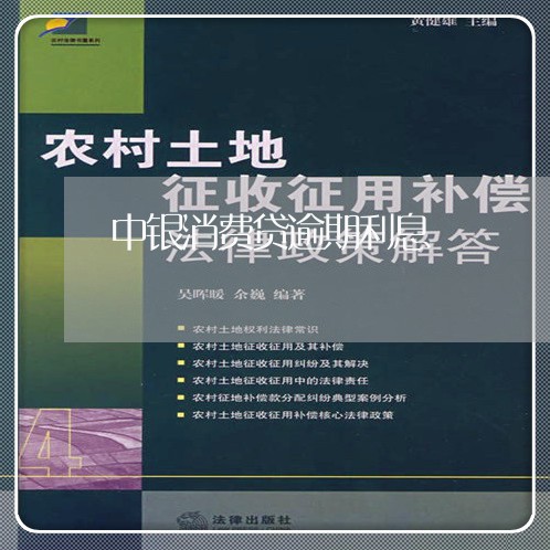 中银消费贷逾期利息/2023060928150