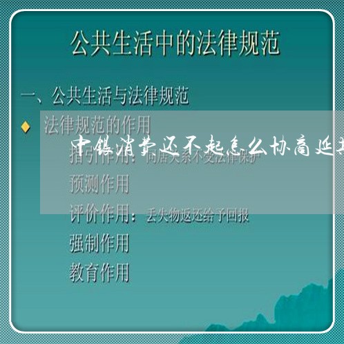 中银消费还不起怎么协商延期还款/2023092693817