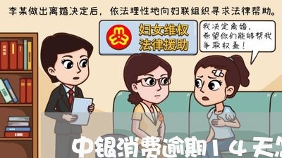 中银消费逾期14天怎么办/2023072662905