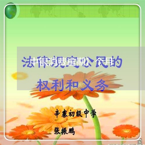 中银消费逾期1个月/2023060929462