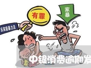 中银消费逾期发短信/2023060993728