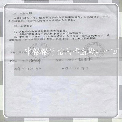 中银银行信用卡逾期20万/2023121917168