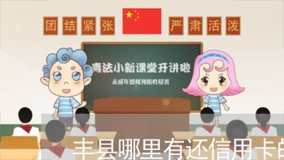 丰县哪里有还信用卡的/2023120432736