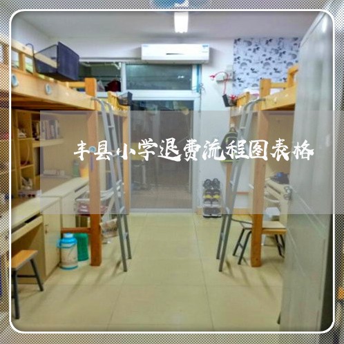 丰县小学退费流程图表格/2023052025370