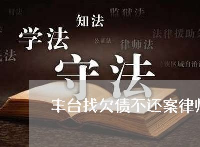 丰台找欠债不还案律师/2023111703806