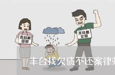 丰台找欠债不还案律师/2023111759271