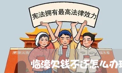 临漳欠钱不还怎么办理拘留/2023091513914