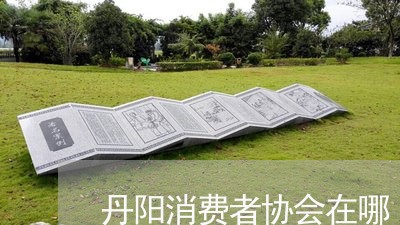 丹阳消费者协会在哪/2023060828269