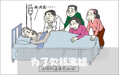 为了欠钱离婚/2023100907148