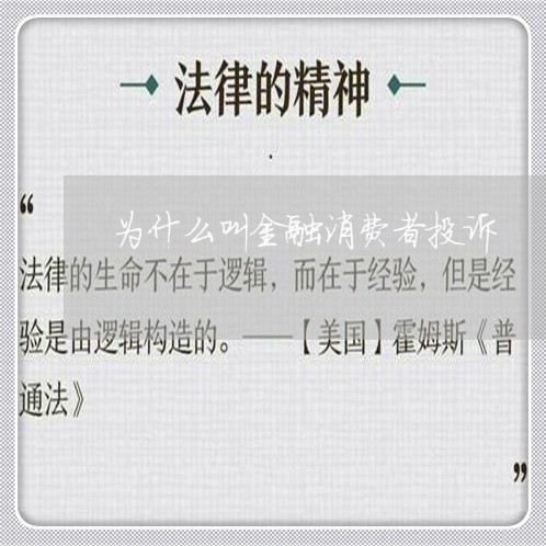 为什么叫金融消费者投诉/2023021598460