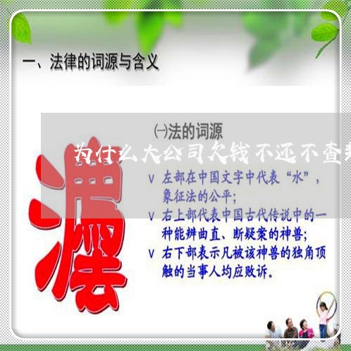 为什么大公司欠钱不还不查封/2023120551383