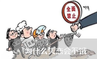 为什么失恋会不饿/2023102638402