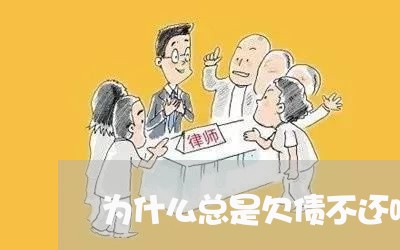 为什么总是欠债不还呢/2023111704148