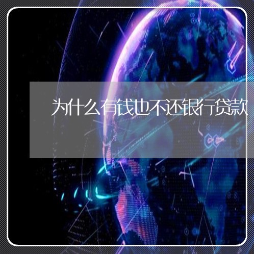 为什么有钱也不还银行贷款/2023120573726