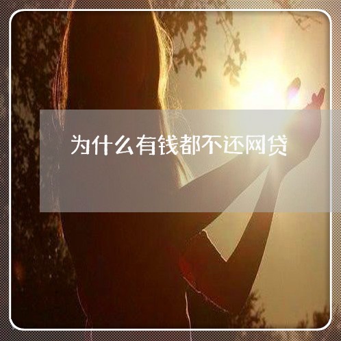 为什么有钱都不还网贷/2023092949391