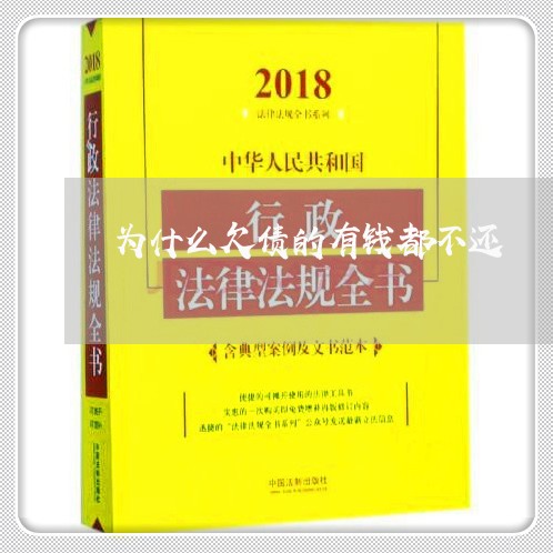 为什么欠债的有钱都不还/2023111159380