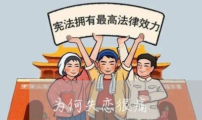 为何失恋很痛/2023120514048