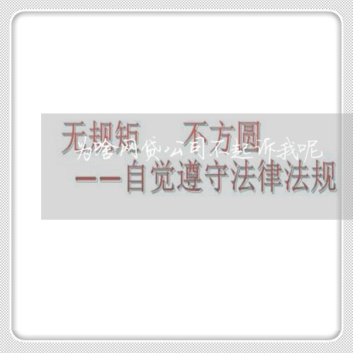 为啥网贷公司不起诉我呢/2023110993792