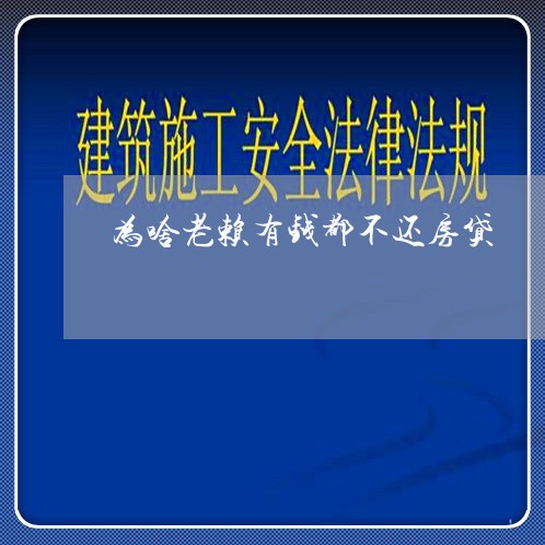 为啥老赖有钱都不还房贷/2023092925058