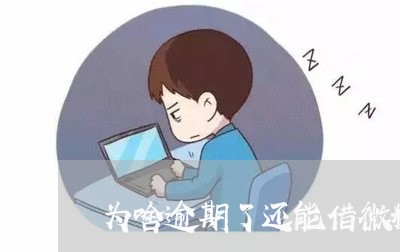 为啥逾期了还能借微粒贷/2023081664056