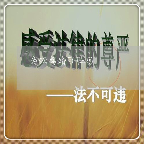 为钱离婚可耻吗/2023121327169