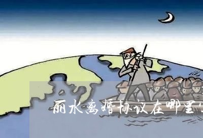 丽水离婚协议在哪里写的/2023111562617