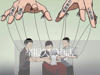 举报欠账电话/2023121800573