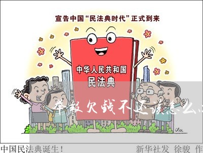 举报欠钱不还该怎么办呀/2023092741604