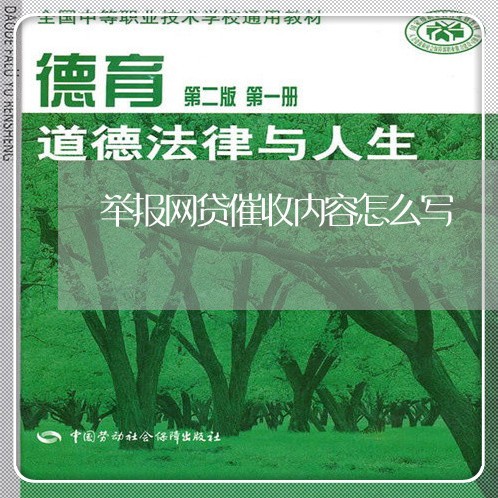 举报网贷催收内容怎么写/2023102494025