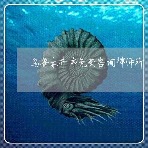 乌鲁木齐市免费咨询律师所/2023032818170