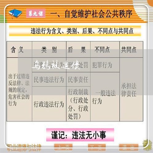 乌鸦被追债/2023121791816