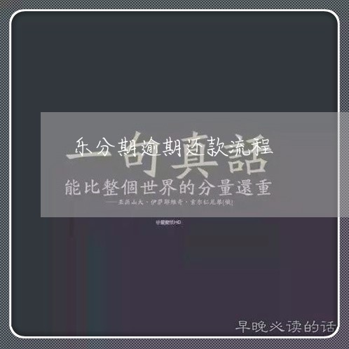 乐分期逾期还款流程/2023060862937