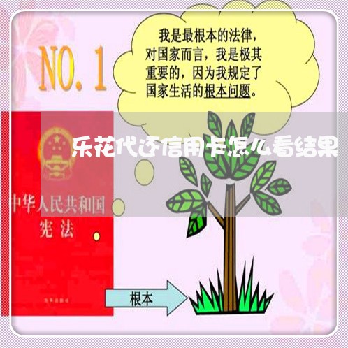 乐花代还信用卡怎么看结果/2023081459574