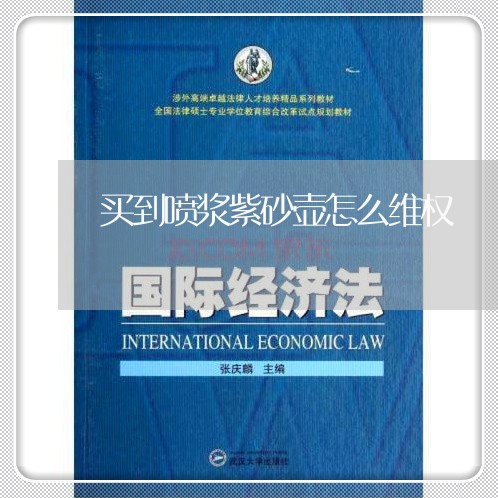 买到喷浆紫砂壶怎么维权/2023062434837