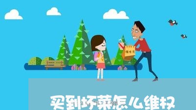 买到坏菜怎么维权/2023043059561