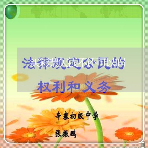 买彩票欠钱不还可以吗/2023092805130