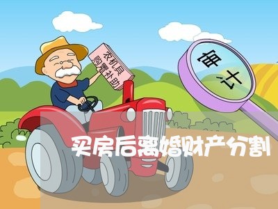 买房后离婚财产分割/2023110983713