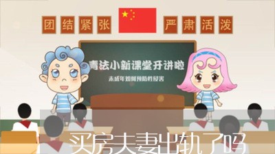 买房夫妻出轨了吗/2023092349473