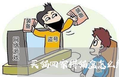 买猫回家得猫瘟怎么维权/2023062418270