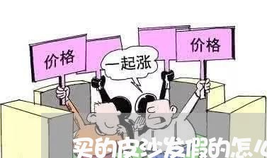 买的皮沙发假的怎么维权/2023062472916