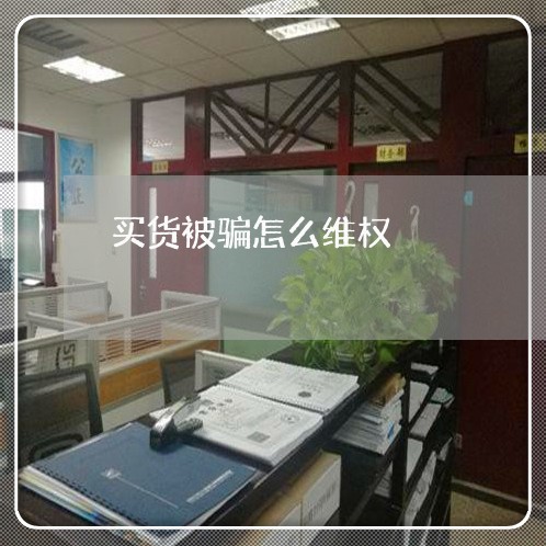 买货被骗怎么维权/2023060394026