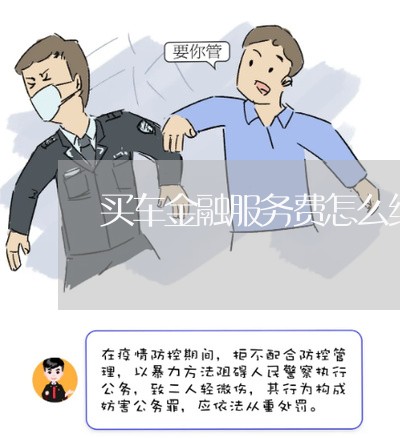 买车金融服务费怎么维权/2023052394038