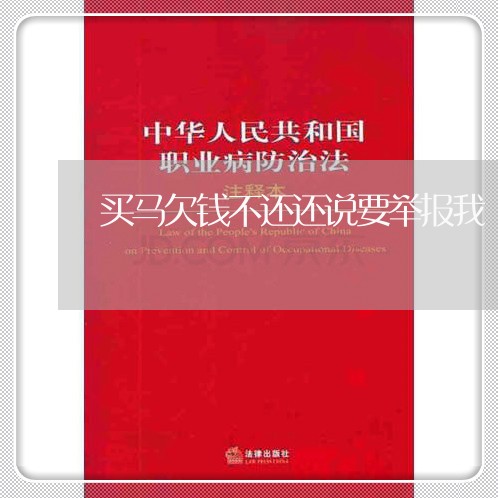 买马欠钱不还还说要举报我/2023092163795