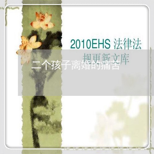 二个孩子离婚的痛苦/2023110516057