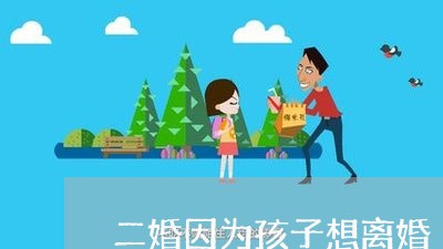 二婚因为孩子想离婚/2023110505946