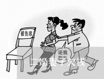 二婚妻子欠钱/2023100839151